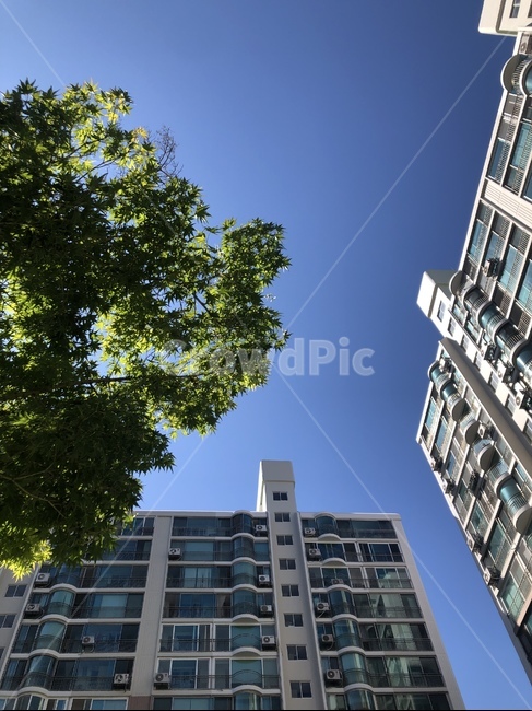 서울하늘,맑은하늘,날씨,아파트,building,자연,도시,풍경,city,landscape,office building,사무실 건물,건물,urban,어반,town,시티,high rise,고층 건물