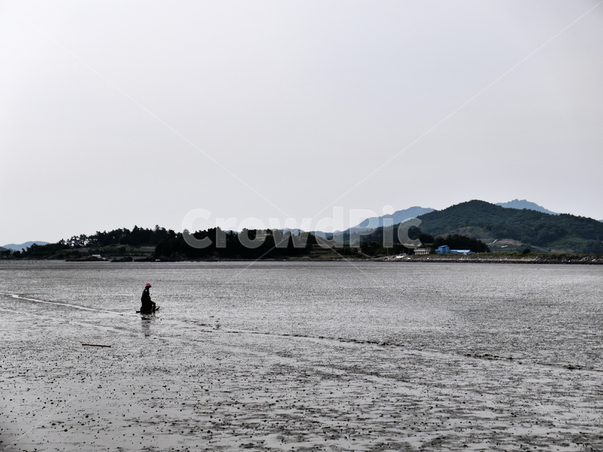 뻘배,갯벌,뻘,간조,어촌,어획,바다,물빠진바다,어업,fishery,fishing industry