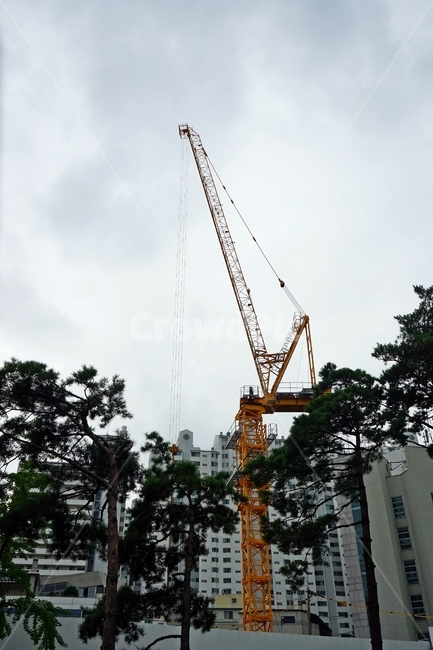크레인,건축,공사현장,고공크레인,나무,아파트,산업,industry,industrial,건설업,건축업,construction industry