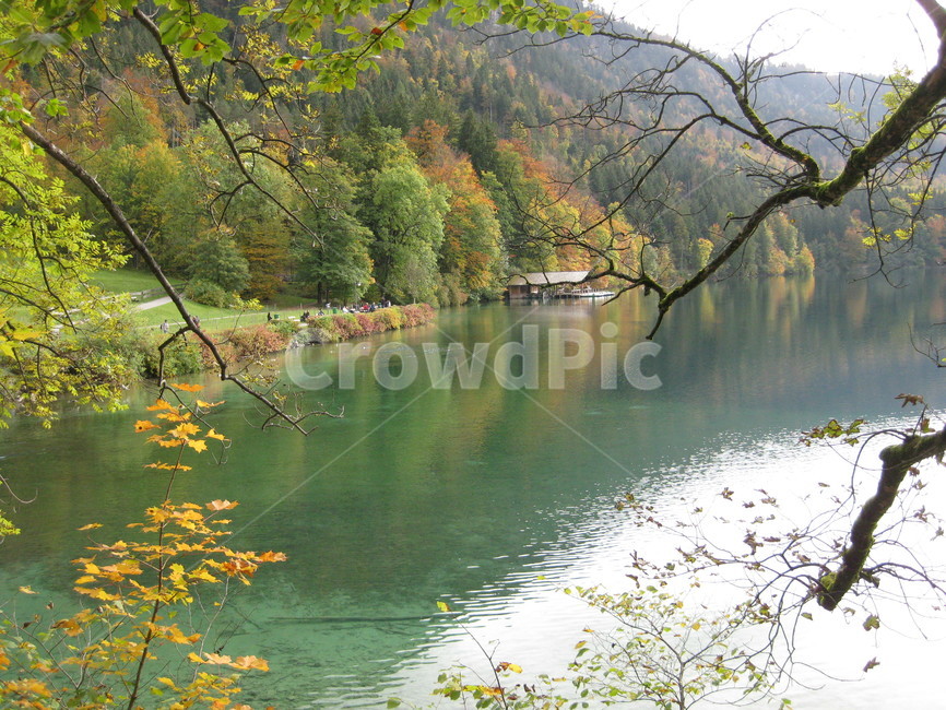 plant,식물,tree,나무,nature,자연,water,물,outdoors,옥외,전나무,호수,낙엽,단풍,lake,에메랄드그린
