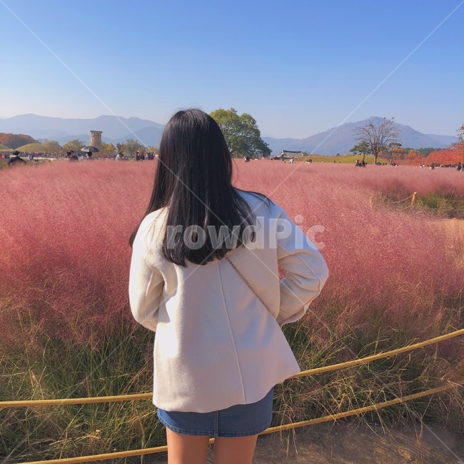 clothing,의류,apparel,의복,가을,핑크뮬리,풍경,자연,식물,분홍,사람,여자뒷모습,사람뒷모습,꽃,감성,분위기,mood,사람,인물,인간,human,person,여성,여자,woman,female,lady