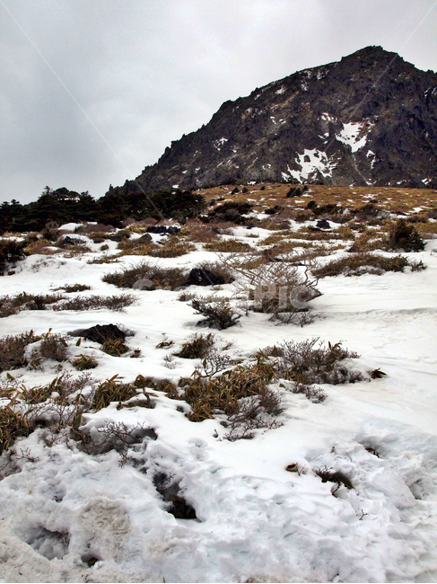 어리목,한라산,제주도,겨울,겨울산,설화,설목,설경,눈,등산,백록담,겨울,계절,winter,season,자연,풍경,nature,landscape,plateau,고원,outdoors,옥외