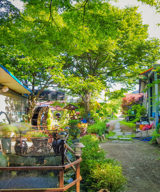 scenery,풍경,green,정원,공원,garden,봄,여름,새싹