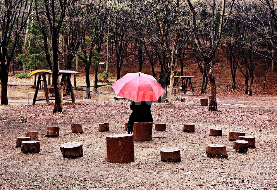 공원,빨강우산,나무,풍경,자연,배경,인천대공원