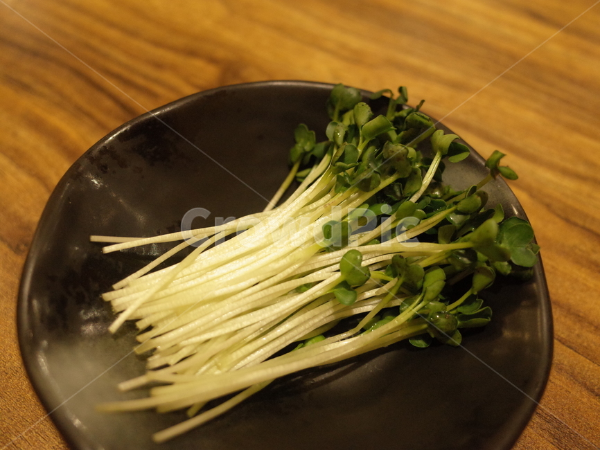 무순,야채,횟집,회,반찬,음식,음식,식재료,요리,food,cook,meal,dishes,food reserves,채소,야채,vegetables