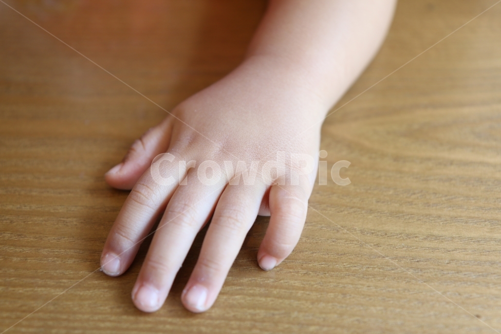 포동포동,아기손,어린이손,손,사람손,사람,인물,인간,human,person,신체일부,몸,body,어린이,어린아이,child,children,kid