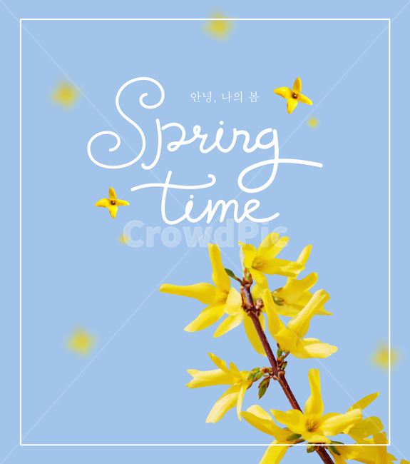 Forsythia,Calligraphy,Handwriting,Brush Writing,Pen Writing,English Calligraphy,Flower,Petal,Spring Flower,Spring,Season,Season,Frame,Template,Template