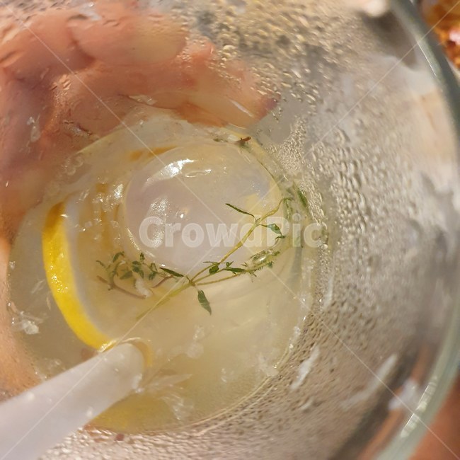 얼음,ice,iced,레몬에이드,허브