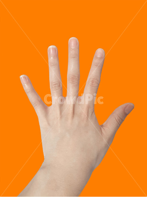 손가락,손가락모양,사람손,손,finger,사람,인물,인간,human,person,신체일부,몸,body,손,제스처,표시,손짓,표현,gesture,hand,sign,expression