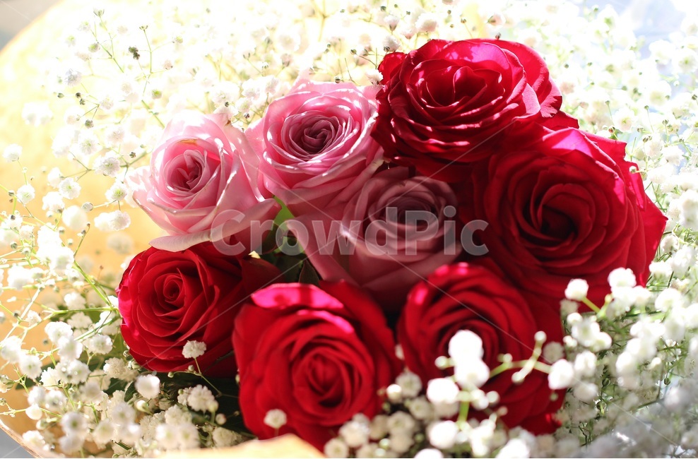 장미,안개,꽃다발,꽃,rose,abunchofflowers,기념일,축하,anniversary,congratulation,celebrate,celebration