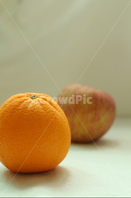 오렌지,사과,과일,스튜디오,자연광,정물,음식,식재료,요리,food,cook,meal,dishes,food reserves,과일,열매,fruit