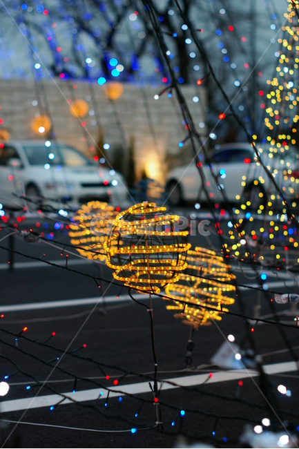 보케,boke,전구,전등,크리스마스,christmas,밤,night,나무,거리,겨울,winter,road,town,도시,city,야경,밤,풍경,nightscape,night,landscape,vehicle,차량,car,차,transportation,교통,automobile,자동차