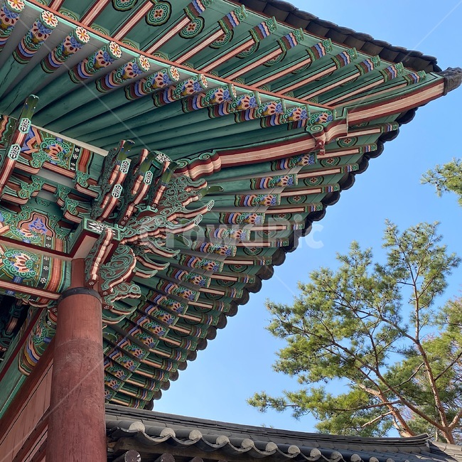 building,건물,architecture,건축물,pagoda,탑,한옥,korea,한국,하늘,sky,나무,Deok