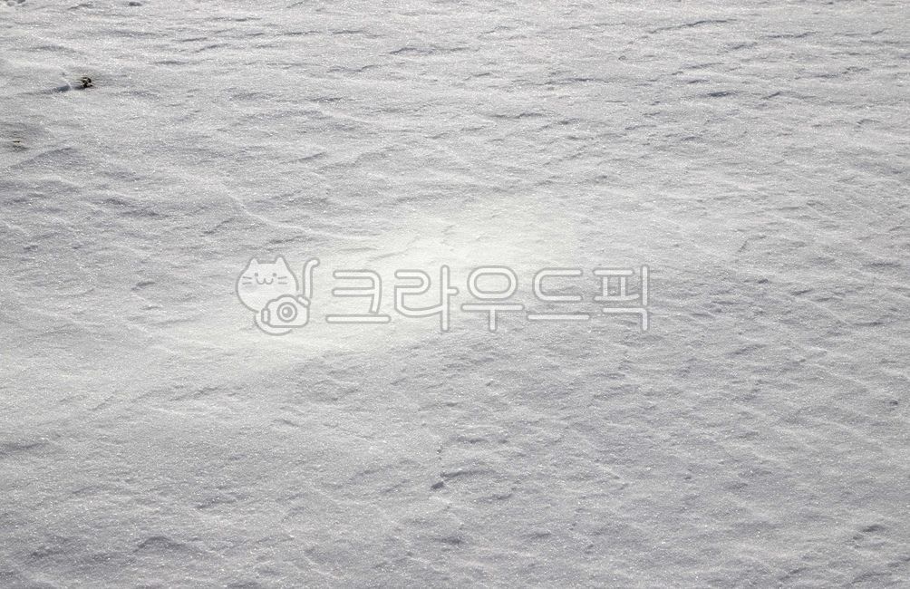 눈보라,빛,겨울,한파,동장군,설경,겨울,계절,winter,season