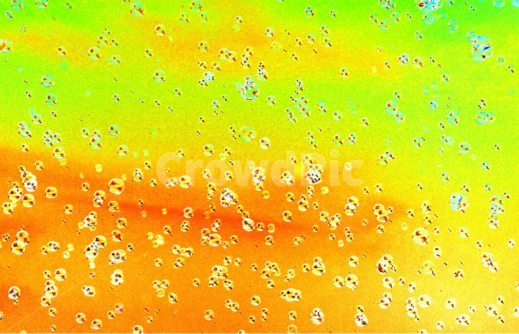 봄,환상,꿈,생명,약동,텍스처,질감,패턴,texture,pattern