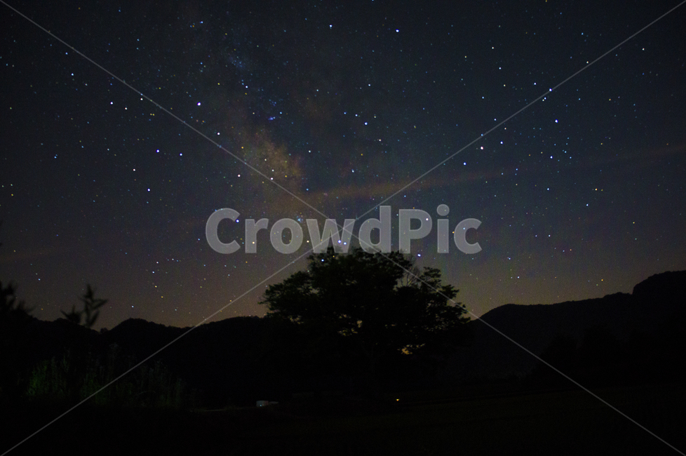 nature,자연,outdoor,옥외,충청북도,보은,원정리느티나무,밤,밤하늘,하늘,별,star,배경화면,풍경,night,sky,nightsky