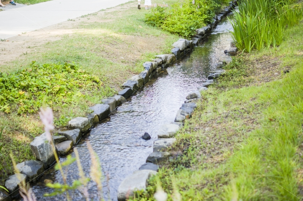 동네,공원,시냇물,초록,여유,산책,연남동,동네사진,자연,풍경,nature,landscape,ditch,도랑