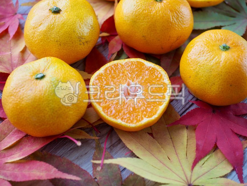 mandarin,citrus fruits,tangerine,jejutangerine,Jeju Island Specialties,fruit,yellow,leaf,Orange,food,tangerines,citrusfruit,Maple leaf,sliced,leaves,jejuislandspecialties,autumn,Jeju tangerines
