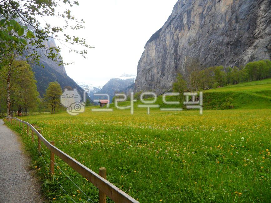 스위스,라우터브루넨,오두막,시골집,자연풍경,들꽃,산,자연,집,언덕,옥외,산맥,들,시골,골짜기,록,하늘,목초지,농장,잔디,산악지형,해외,세계,해외풍경,세계풍경,세계자연풍경,해외자연풍경,switzerland,lauterbrunnen,hut,cottage,naturelandscape,wildflowers,mountain,grass,nature,house,hill,outdoors,mountainrange,field,countryside,valley,rock,sky,meadow,farm,lawn,mountainouslandforms,overseas