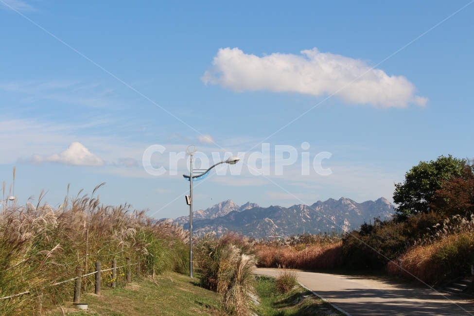 가을,하늘,구름,북한산,억새,공원,산책,힐링,가을,계절,fall,autumn,season,자연,풍경,nature,landscape,한국자연풍경,한국자연경관,korea nature landscape,plant,식물,grass,잔디