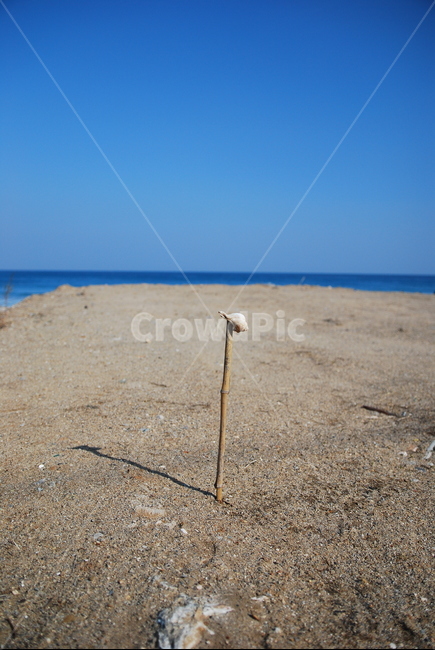 바다,하늘,조개껍데기,백사장,모래,자연,풍경,nature,landscape,해변,바다,beach,sea,shoreline,해안선,water,물,outdoors,옥외,ocean,대양,sand,바닷가,coast,연안