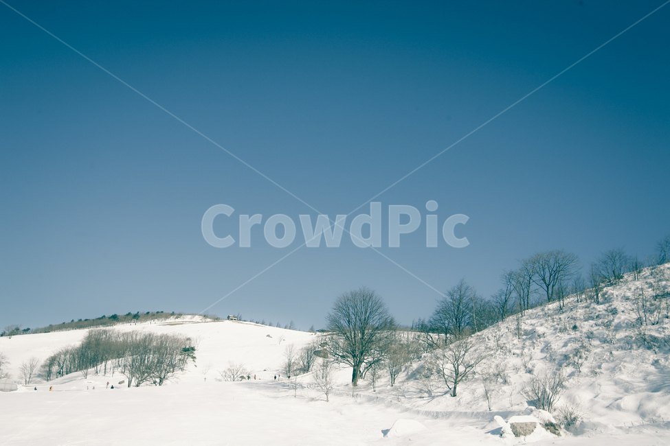 nature,자연,outdoors,옥외,풍경,설산,눈,snow,겨울,계절,winter,season,자연,풍경,nature,landscape