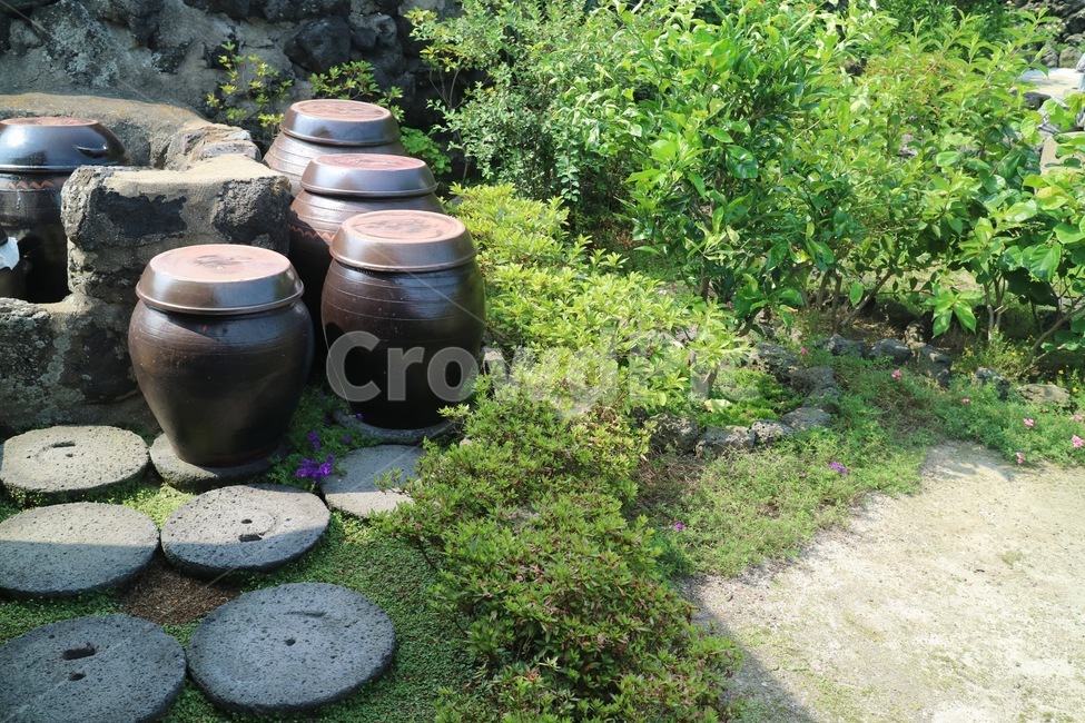 돌담,돌,시골,기왓집,나무,jeju,장독대,풀