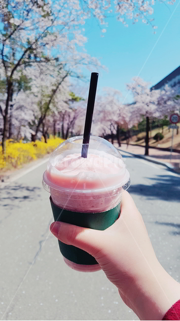 딸기스무디,분홍,벚꽃,개나리,길,음료수,drink,beverage