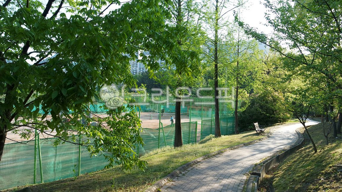 in the woods,forest,shelter,vegetation,clouds,scenery,trees,path,sidewalk blocks,leaves,road,grass,playground,resort,forest road,sky,bench,nature,chair,city park,tree branches,Park,sunlight,grass field,outdoors,light,garden,tennis court,boardwalk,walk