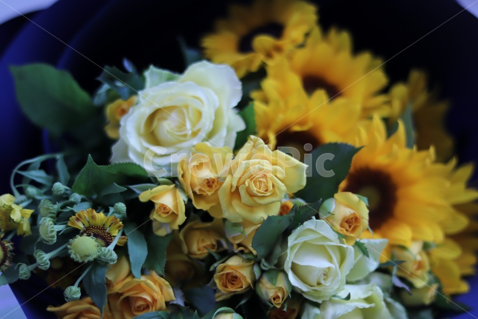 꽃,해바라기,장미,꽃다발,감성,꽃,flower,기념일,축하,anniversary,congratulation,celebrate,celebration