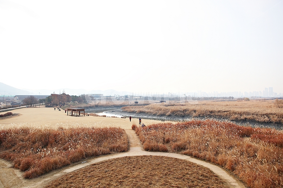 소래습지생태공원,갯골,뻘,갯벌,갈대,식믈,자연,풍경,잡초,풀,가을,바다물,생태공원,공원