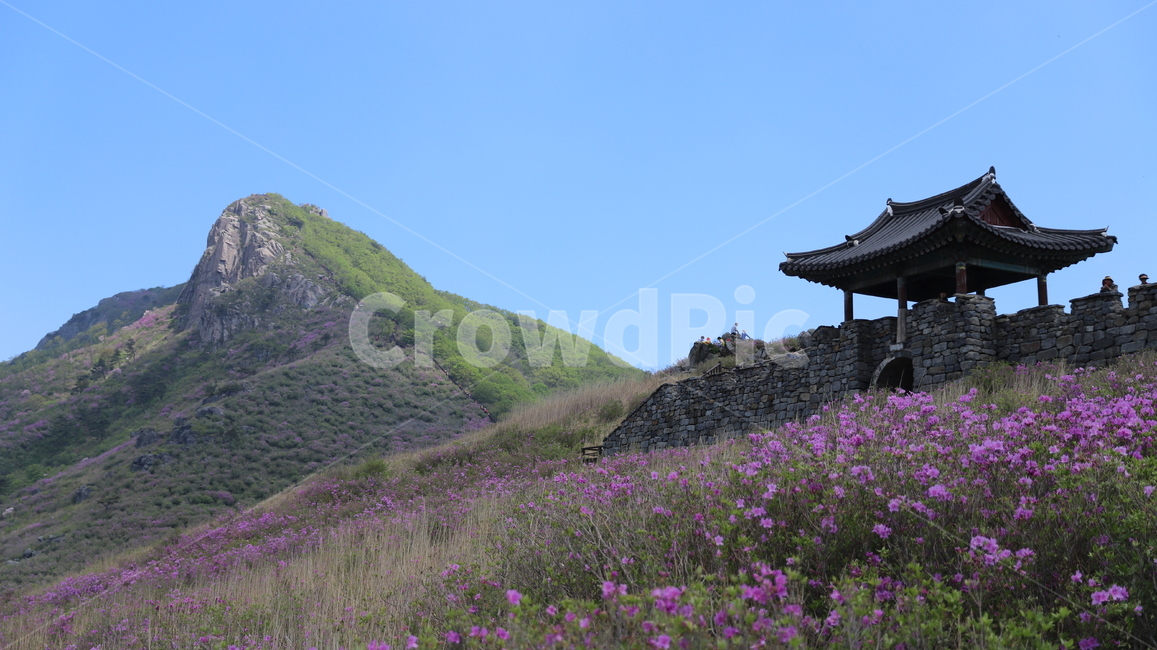 황매산,철쭉,5월,황매산철쭉,합천,구름,하늘,파란하늘,철쭉꽃,축제,황매산철쭉제,황매산성,분홍꽃,산,계절,봄,풍경,자연,풍경,nature,landscape,한국자연풍경,한국자연경관,korea nature landscape,architecture,건축물,building,건물