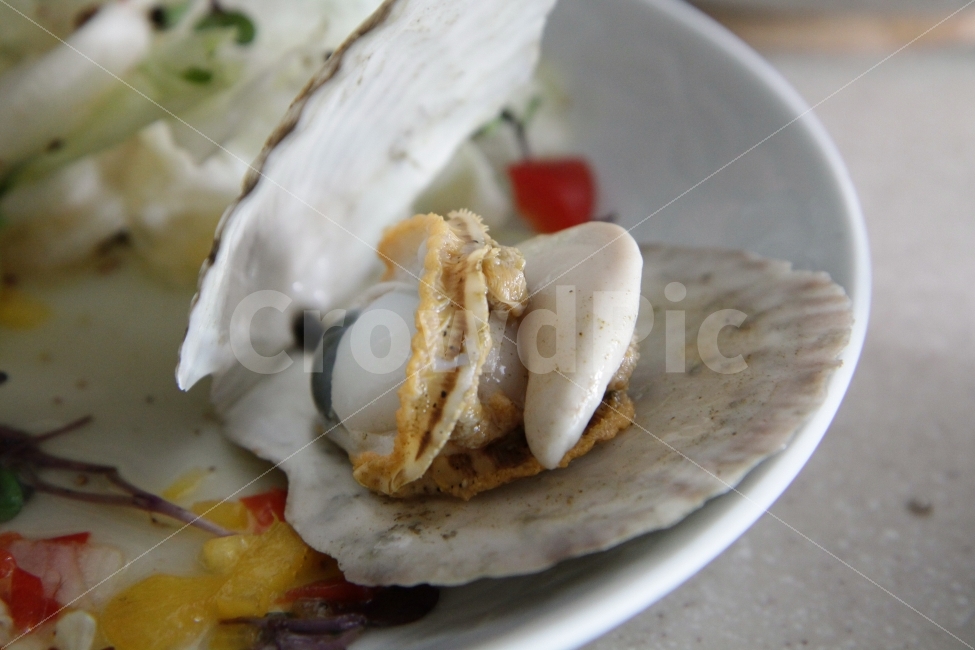 가리비,해산물,가정식,제철음식,씨푸드,음식,식재료,요리,food,cook,meal,dishes,food reserves,수산물,해산물,fishery products,seafood