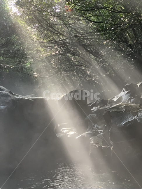 계곡,제주도,자연,숲,나무,물,폭포,햇빛