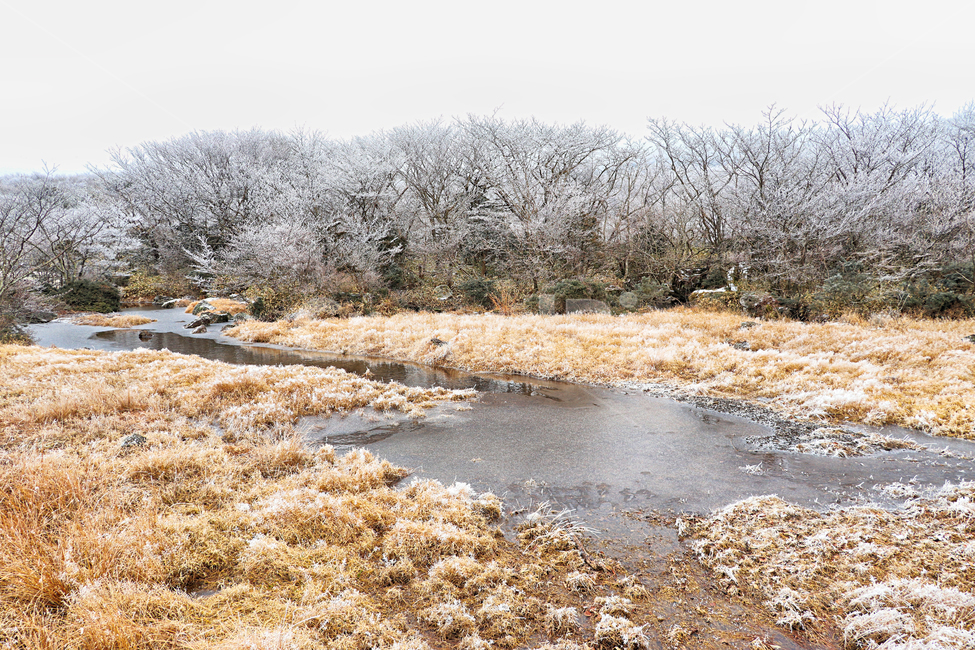 제주도,한라산,1100고지,한라산1100고지,설경,눈꽃,겨울,자연,옥외,눈,nature,outdoors,snow,풍경,겨울풍경,습지,겨울,계절,winter,season,자연,풍경,nature,landscape