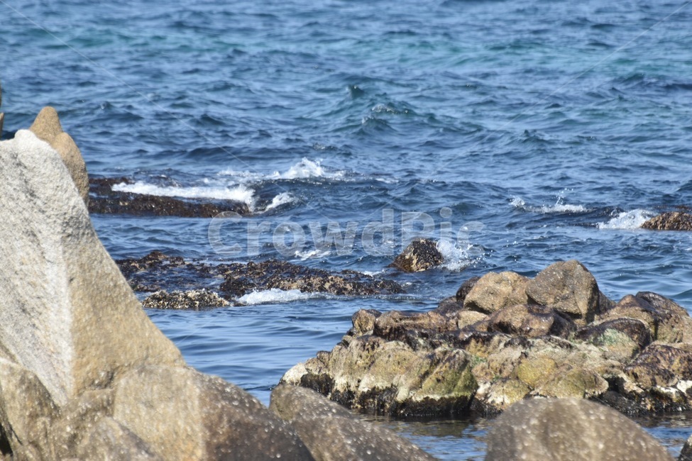 바위,강릉,바다,겨울,겨울바다,주문진,소돌,한국자연풍경,한국자연경관,korea nature landscape,water,물,sea,nature,자연,ocean,대양,outdoors,옥외