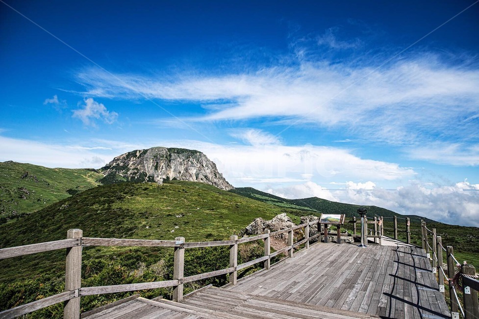 산책로,boardwalk,bridge,building,한라산,다리