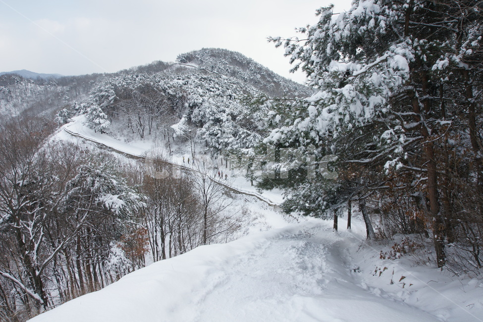 상당산성,청주시,설경,트래킹,풍경,겨울,계절,winter,season,자연,풍경,nature,landscape,outdoors,옥외,tree,나무,plant,식물,fir,전나무