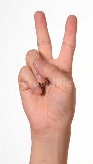 손,남자손,남자,동양인,흰색배경,V,브이,둘,2,팔목,손톱,손금,사람,인물,인간,human,person,신체일부,몸,body,손,제스처,표시,손짓,표현,gesture,hand,sign,expression,감정표현,기분,feeling,emotion,연출,컨셉,콘셉,direction,concept,누끼,remove background