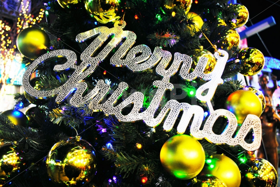 겨울,크리스마스,트리,메리크리스마스,성탄절,merrychristmas,산타,캐롤,장식,부산,christmas,xmas,winter,santa,징글벨,연말,종교,신앙,religion,belief,faith,기념일,축하,anniversary,congratulation,celebrate,celebration,메리크리스마스,성탄절,merry christmas,인테리어,실내디자인,interior design,사물,물건,오브젝트,thing,object,matter