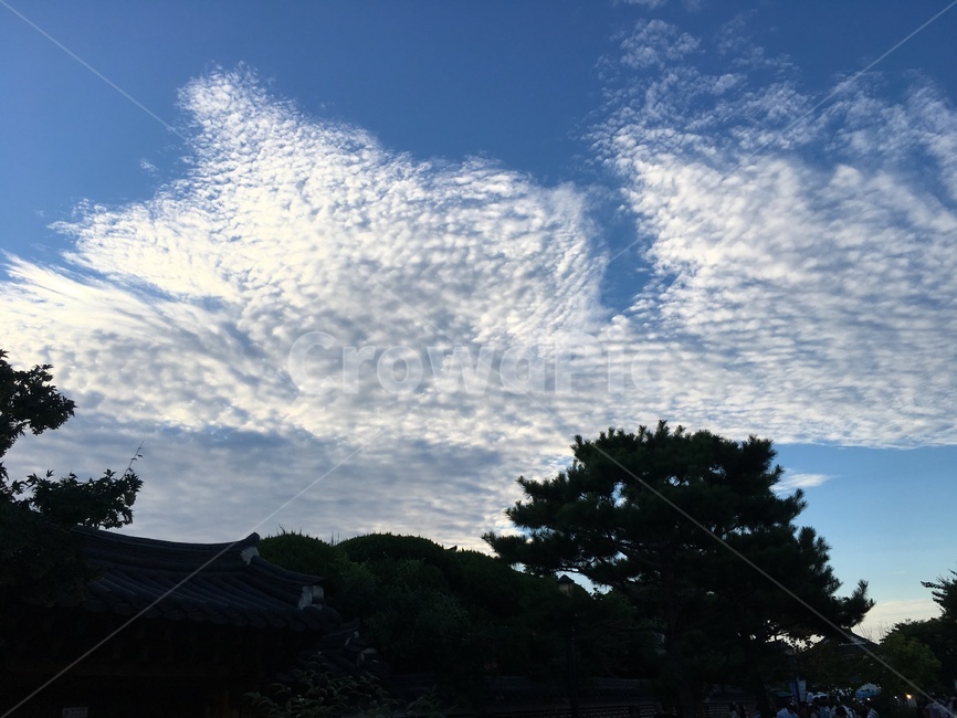 하늘,구름,풍경,가을,나무,자연,풍경,nature,landscape,outdoors,옥외,weather,날씨