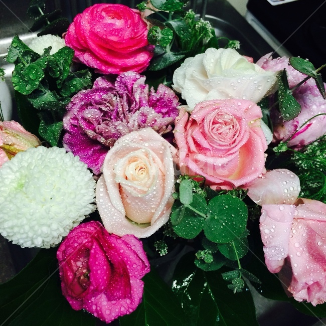 꽃,꽃다발,칼라,화려함,원색,꽃,flower