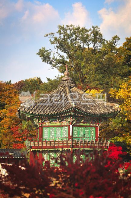 경복궁,단풍,가을,고궁,궁,궁궐,단청,하늘,구름,배경화면,바탕화면,wallpaper,architecture,건축학,building,건물