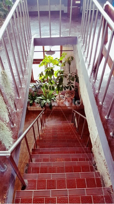 계단,handrail,난간,staircase,banister,railing,식물,plant,타일,카페,cafe,인테리어,플랜트월