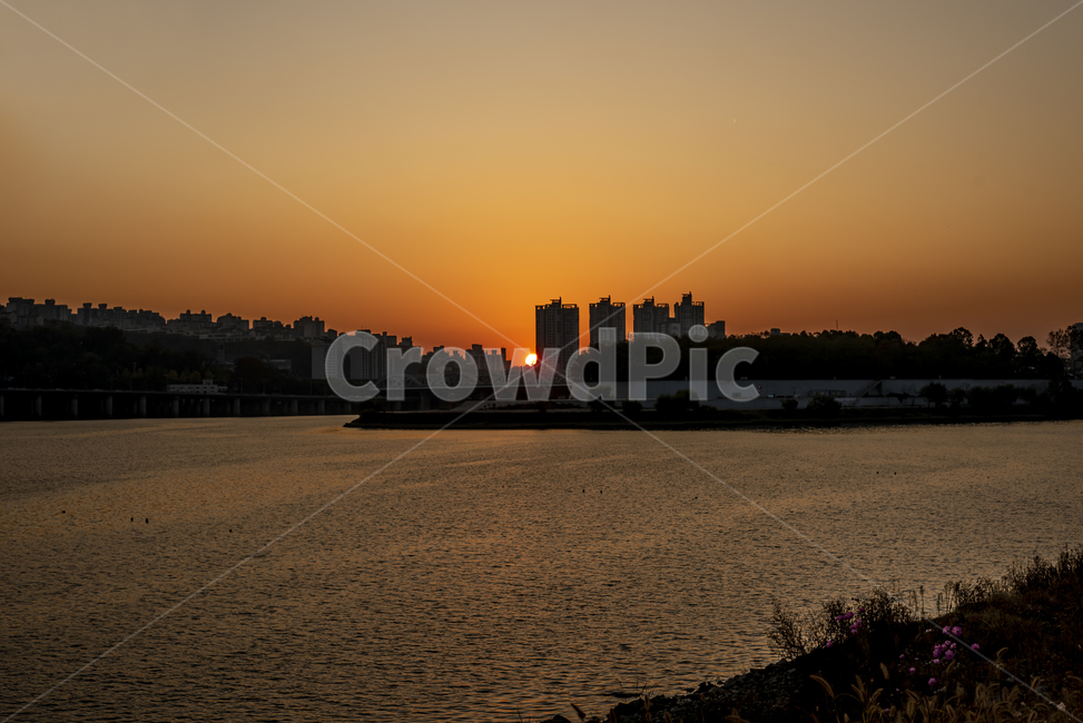 한강공원,한강,가을,노을,해질녘,코스모스,풍경,한국도시풍경,한국도시경관,korea cityscape