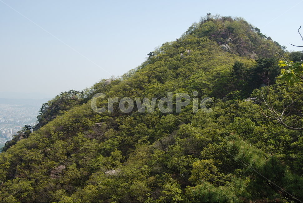 산,tree,trail,자연,봄,자연,풍경,nature,landscape,outdoors,옥외
