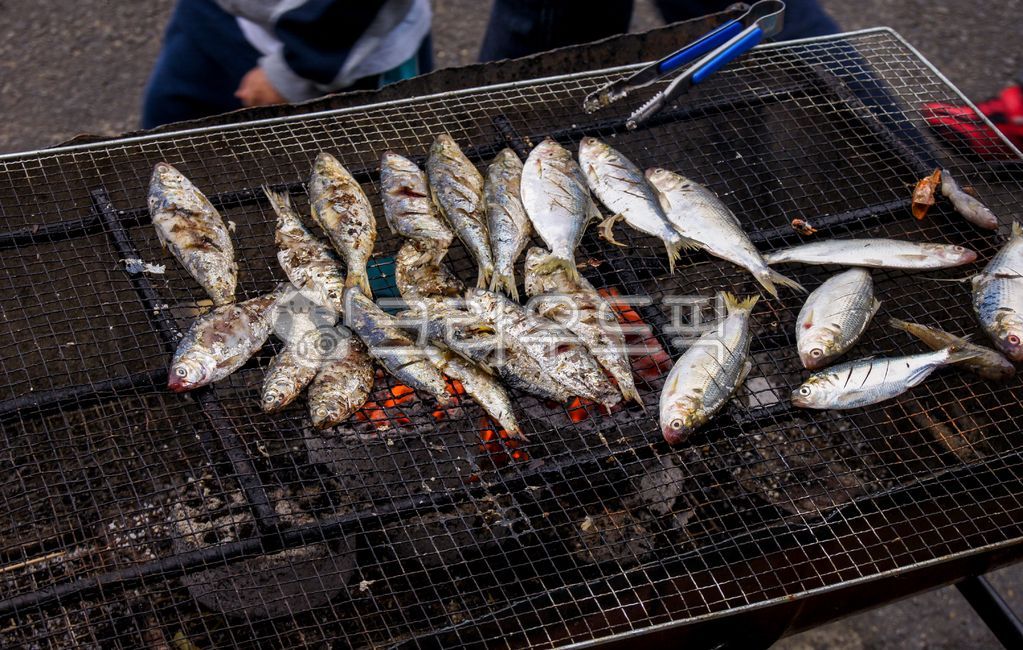 전어,전어구이,물고기,생선,구이,생선구이,fish,가을전어,연탄구이