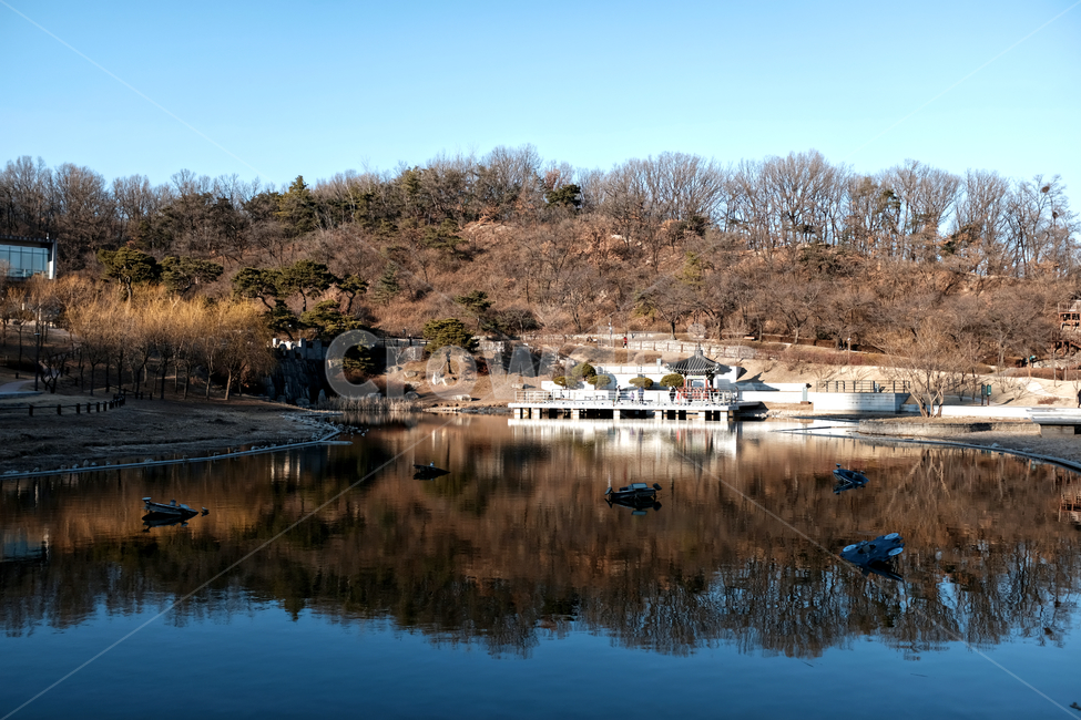 강북구,북서울꿈의숲,호수,월영지,애월정,자연,풍경,nature,landscape,한국자연풍경,한국자연경관,korea nature landscape,water,물,outdoors,옥외,lake