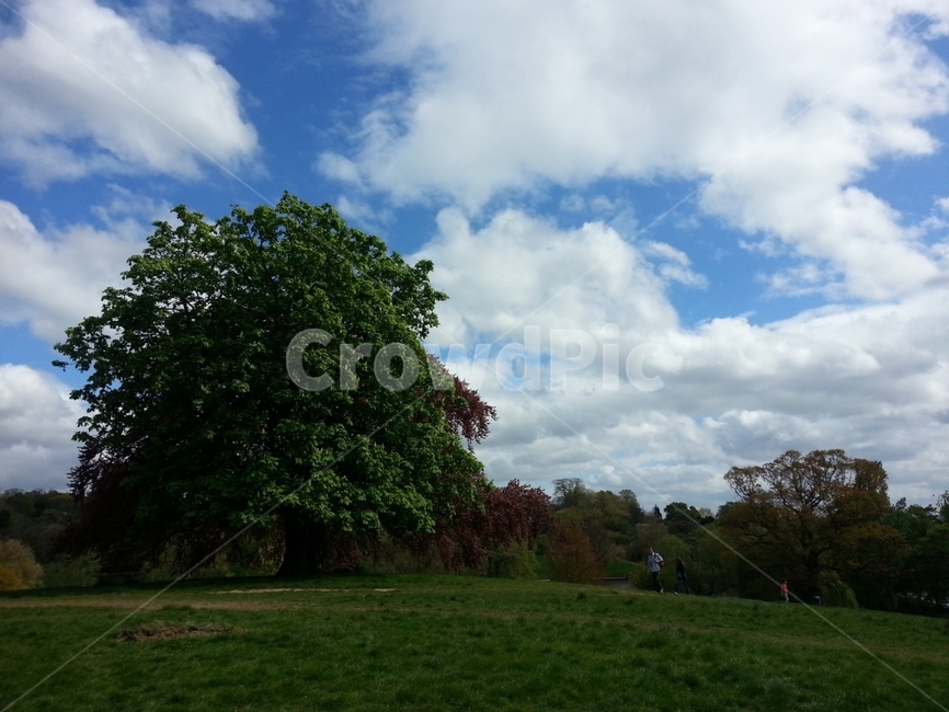 햄스테드,런던,영국,공원,여유,산책,잉글랜드,london,park,uk,england,자연,풍경,nature,landscape,해외,외국,세계,foreign,oversea,world,세계자연풍경,해외자연풍경,외국자연풍경,world nature landscape,grass,잔디,plant,식물,weather,날씨,outdoors,옥외