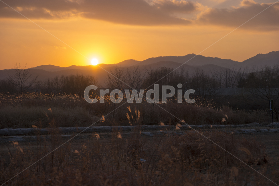 빛,light,플레어,nature,자연,황혼,sky,하늘,redsky,붉은하늘,일몰